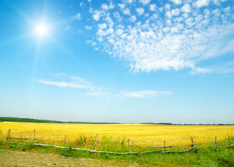 green field