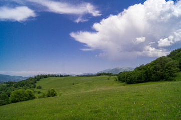 summer landscape