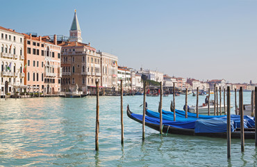 Venice - Canal grande and gondolas