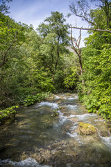 Fototapeta na wymiar Small cascade on the river