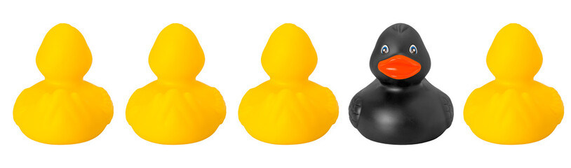 One black and four yellow toy rubber ducks