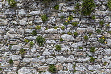Stone wall