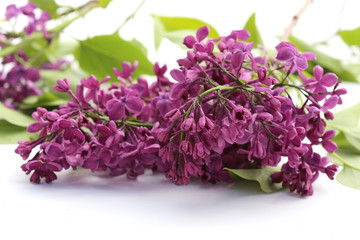 Lilas