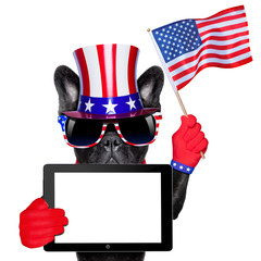 american dog