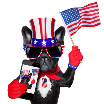 american selfie dog