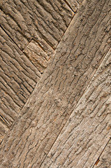 Obraz premium Tree bark texture