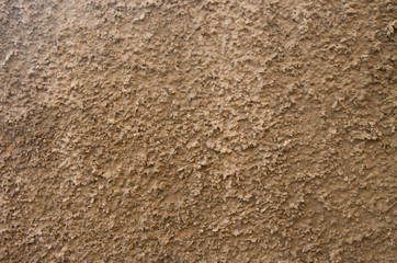 Fototapeta na wymiar Texture gray plastered wall for background