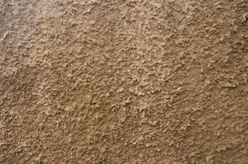 Texture gray plastered wall for background