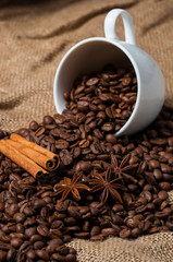 Coffee beans, cinnamon and aniseed in coffee cup