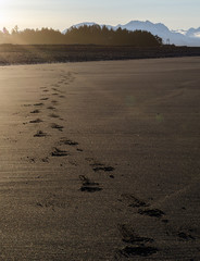 Leave Only Footprints