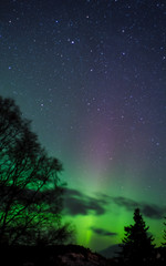 Naklejka premium Night Visions