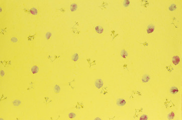 Mulberry paper texture background