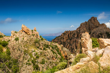 Fototapeta na wymiar Calanches de Piana in Corsica