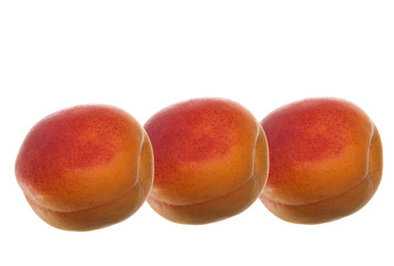 apricots isolated