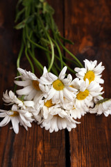 Fototapeta na wymiar Beautiful bouquet of daisies on wooden background