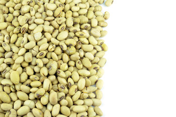 soybean isolated on white background