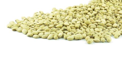 soybean isolated on white background
