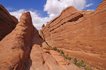 Hidden Canyon in Red Rock Country