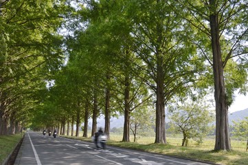 バイクのツーリング