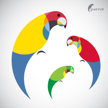 Vector image of an parrot design