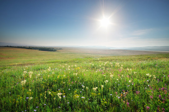 Spring morning