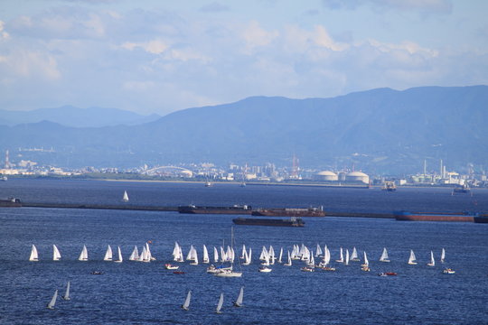 Fototapeta 芦屋から見る大阪の風景