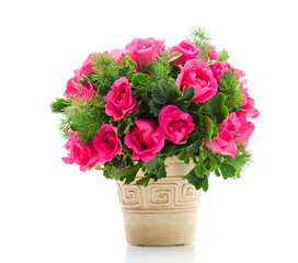 Rose bouquet