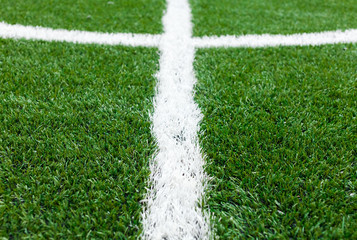 soccer field grass