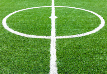 soccer field grass