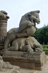 Fototapeta na wymiar Lion Riding over Elephant