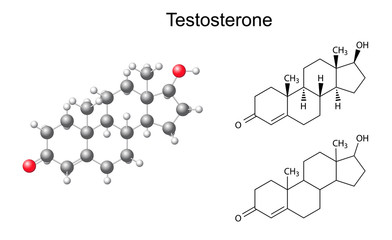 Structural chemical formulas and model of testosterone molecule