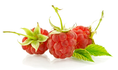 sweet raspberry isolated on white background
