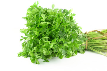 Coriander isolated on white