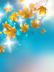 Obraz na płótnie Canvas Colorful autumn background.