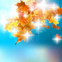 Autumn background template.