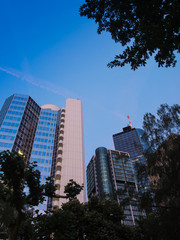 Skyscrapers in the financial district of Frankfurt, Germany