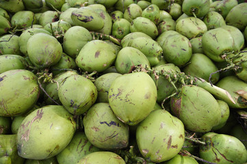 Pile of Fresh Green Brazilian Coconuts