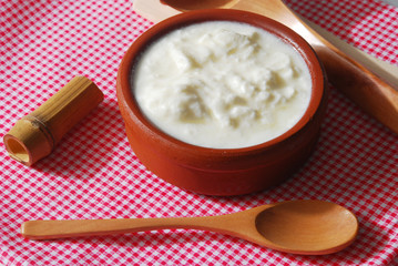homemade yogurt