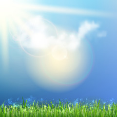 Obraz premium Background With Green Grass.