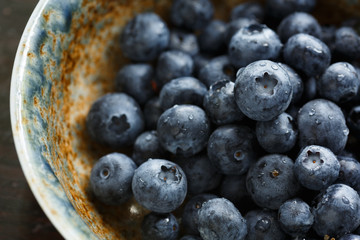 Freshly picked blueberries
