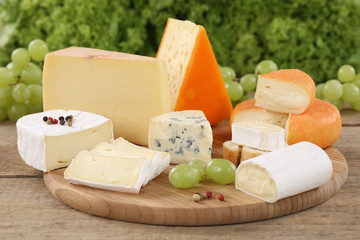 Auswahl an Käse wie Camembert, Bergkäse und Schweizer Käse