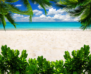 sea