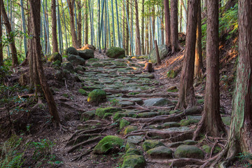 熊野古道