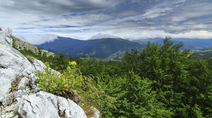 Fototapeta na wymiar Beautiful mountain scenery in the Alps in summer and limestone