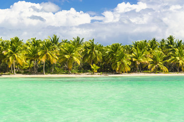 Paradise beach with palm trees on white sand