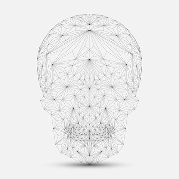 Geometric skull