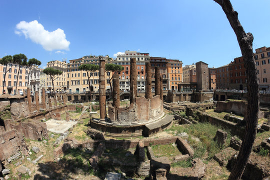 Largo di Torre Argentina in Rome, Italy
