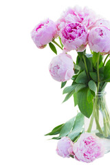 bouquet of pink peonies