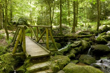 Black Forest Wooden Bridge
