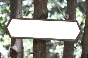 Wooden sign hanging on tree.